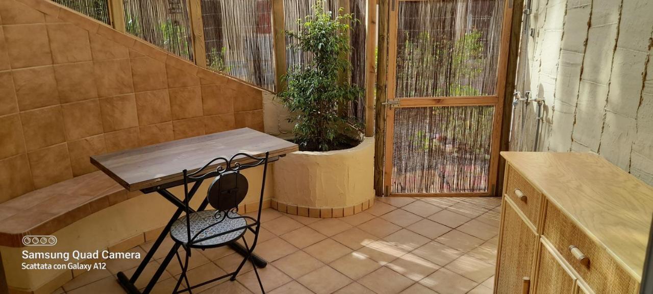 Surf & Chill Bungalow 69, Quiet Green Oasis With Community Swimmingpool Parque Holandes المظهر الخارجي الصورة
