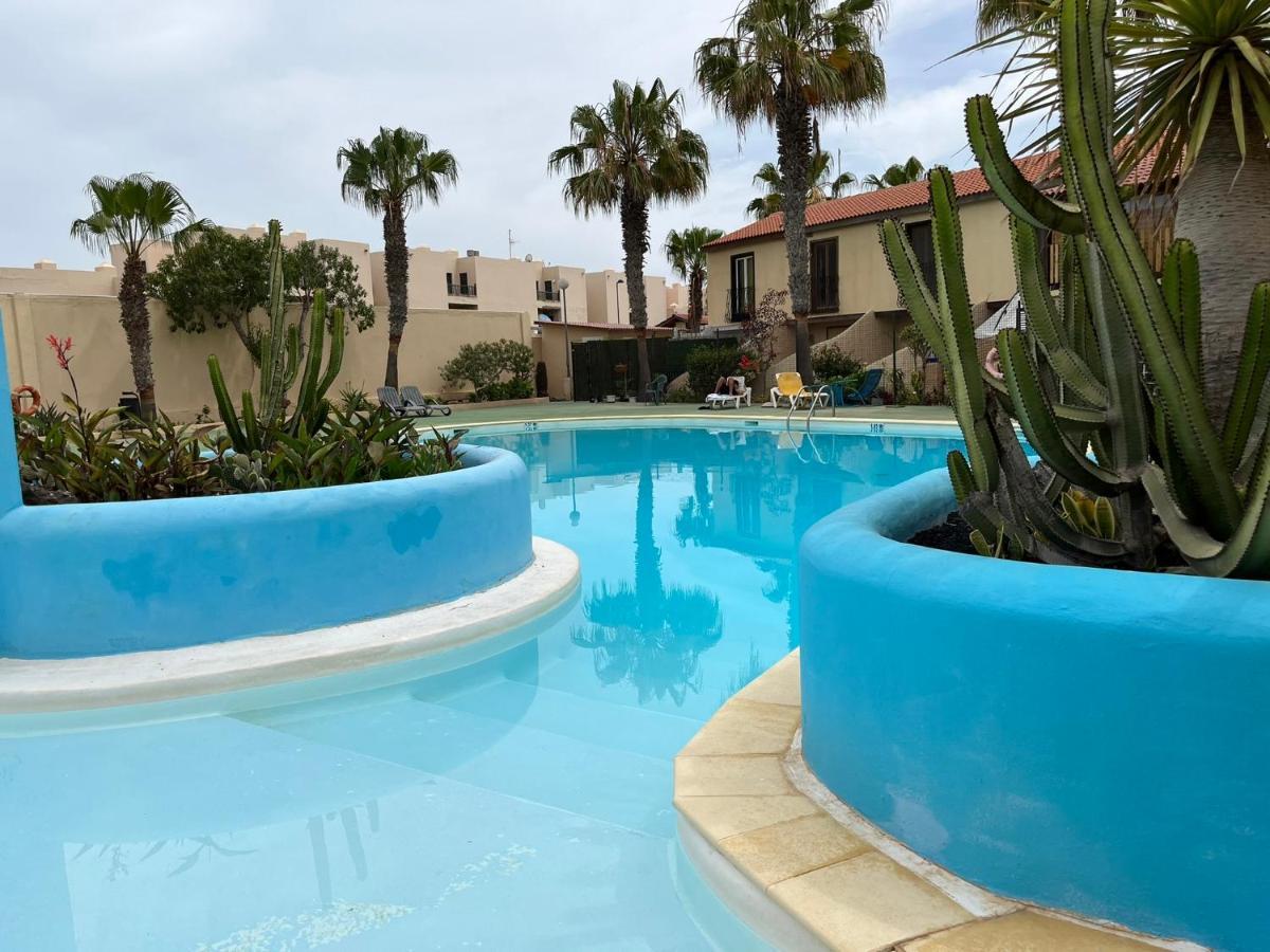 Surf & Chill Bungalow 69, Quiet Green Oasis With Community Swimmingpool Parque Holandes المظهر الخارجي الصورة