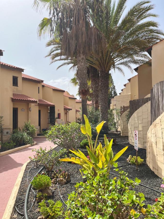Surf & Chill Bungalow 69, Quiet Green Oasis With Community Swimmingpool Parque Holandes المظهر الخارجي الصورة