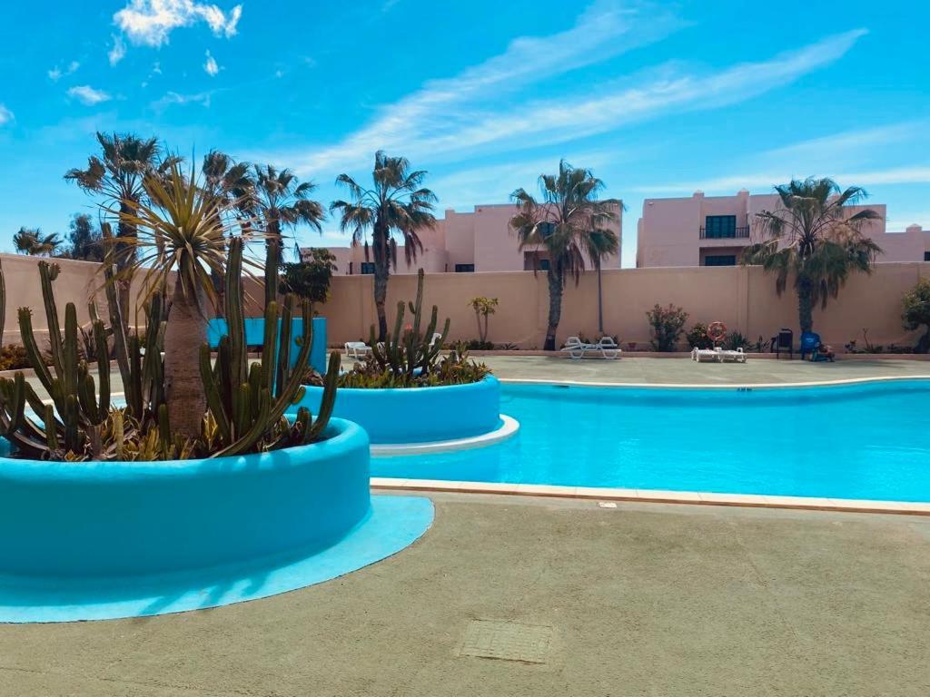 Surf & Chill Bungalow 69, Quiet Green Oasis With Community Swimmingpool Parque Holandes المظهر الخارجي الصورة