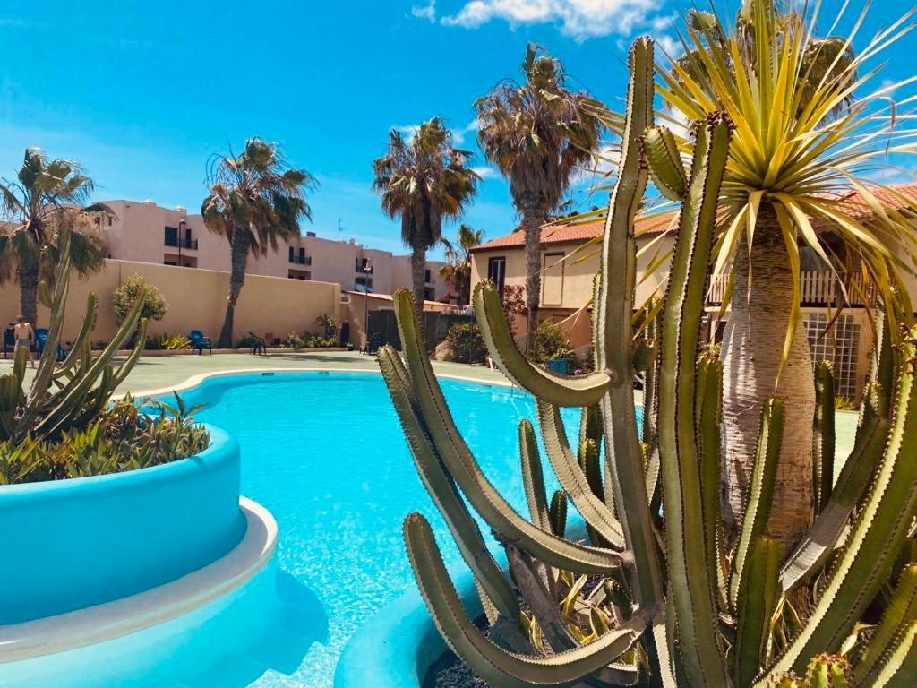 Surf & Chill Bungalow 69, Quiet Green Oasis With Community Swimmingpool Parque Holandes المظهر الخارجي الصورة